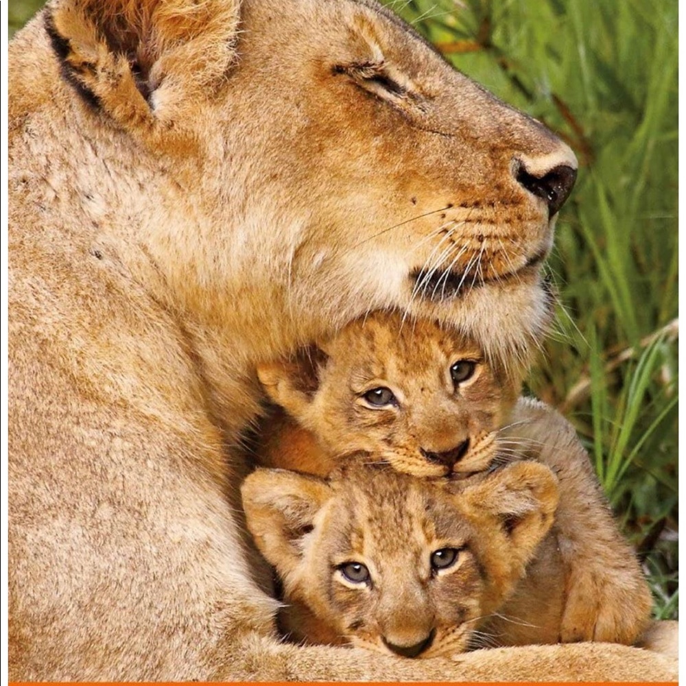 Meet your Posher, Przemek